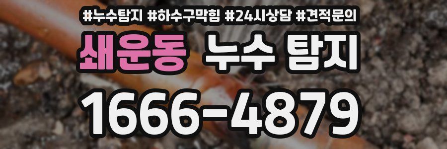 쇄운동 누수 탐지