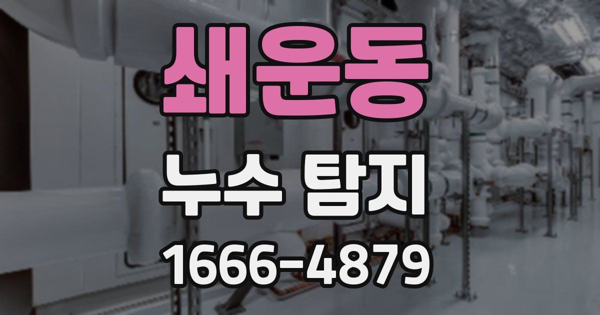 쇄운동 누수 탐지