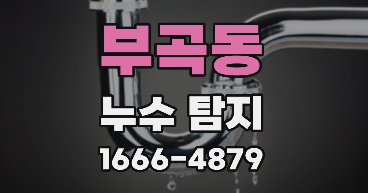 부곡동 누수 탐지