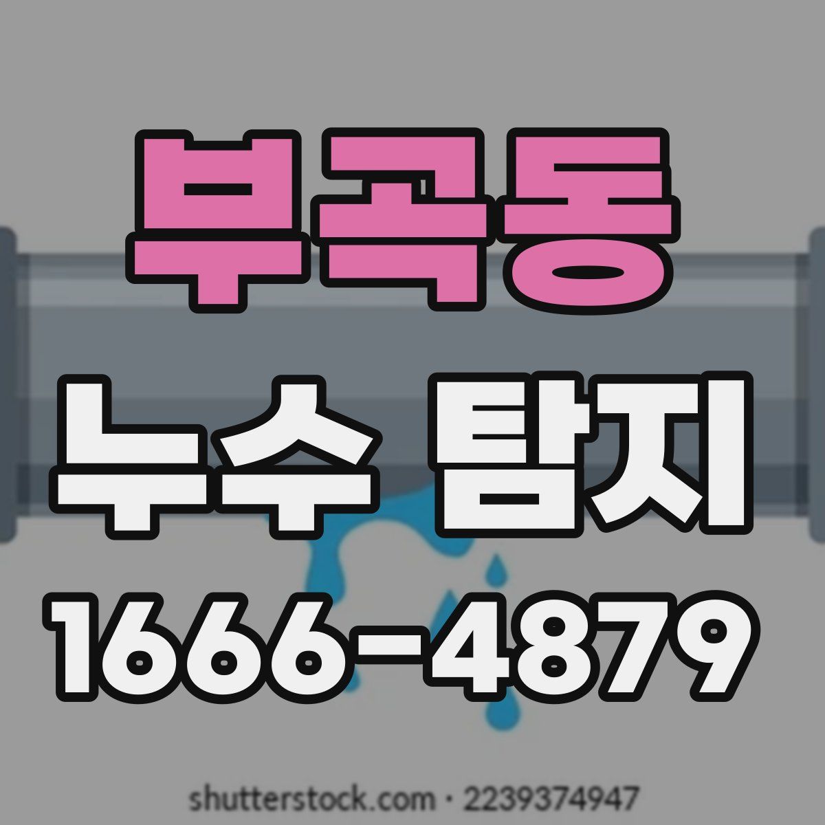 부곡동 누수 탐지