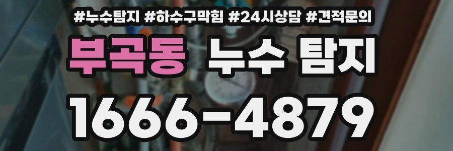 부곡동 누수 탐지