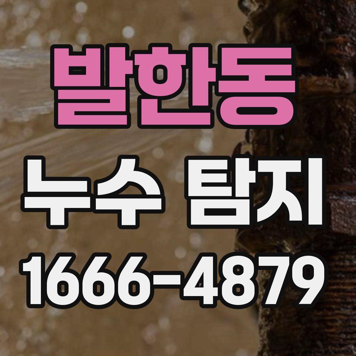 발한동 누수 탐지