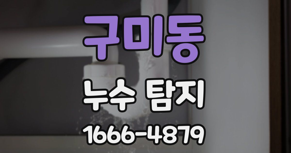 구미동 누수 탐지