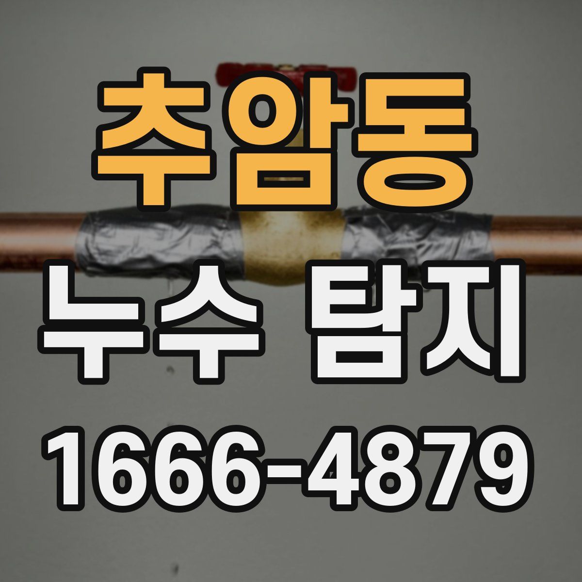 추암동 누수 탐지