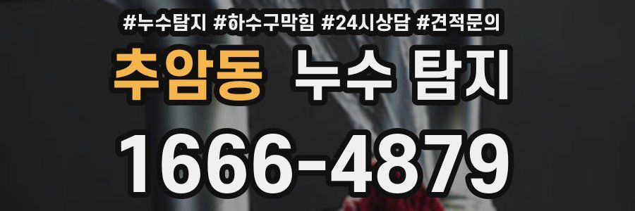 추암동 누수 탐지