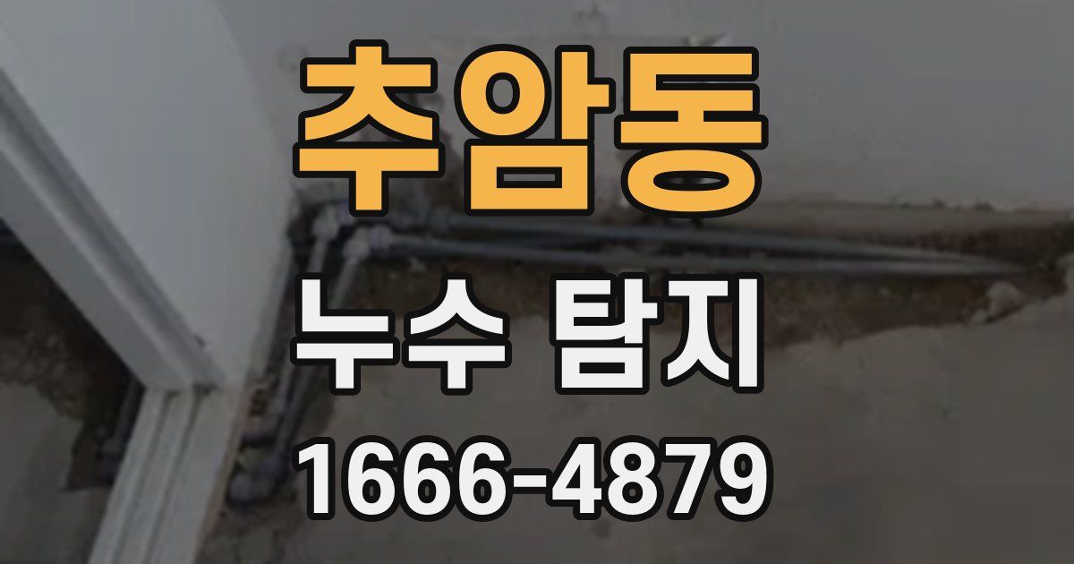 추암동 누수 탐지