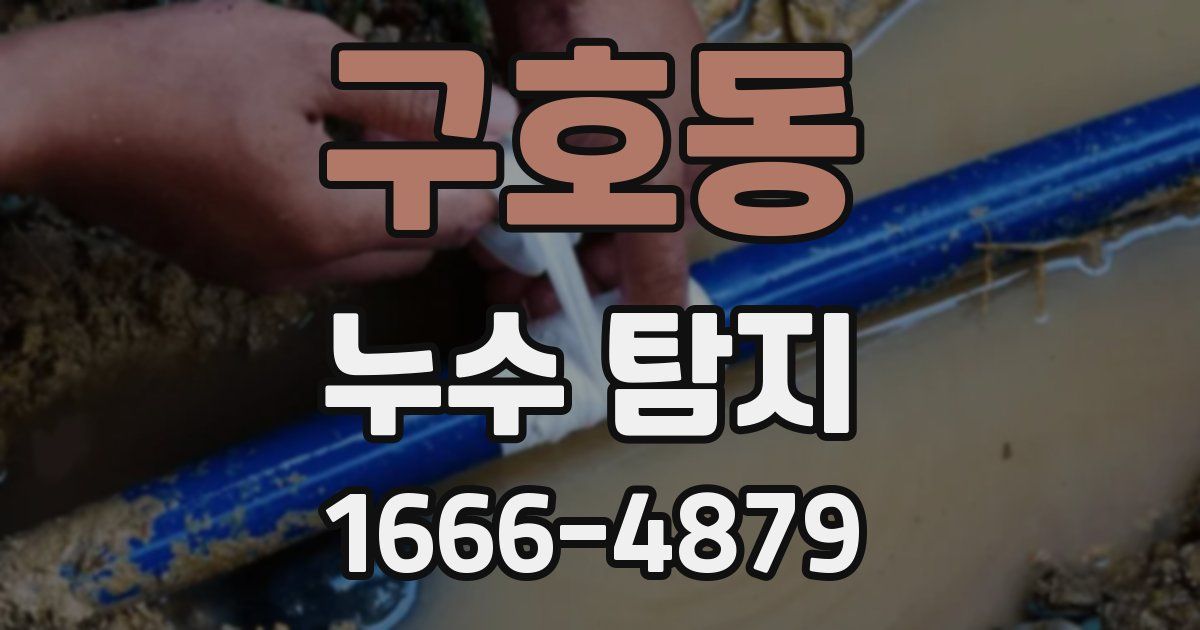 구호동 누수 탐지