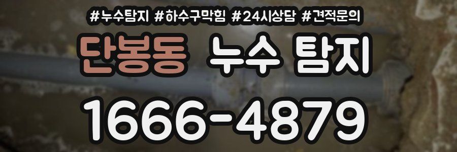 단봉동 누수 탐지