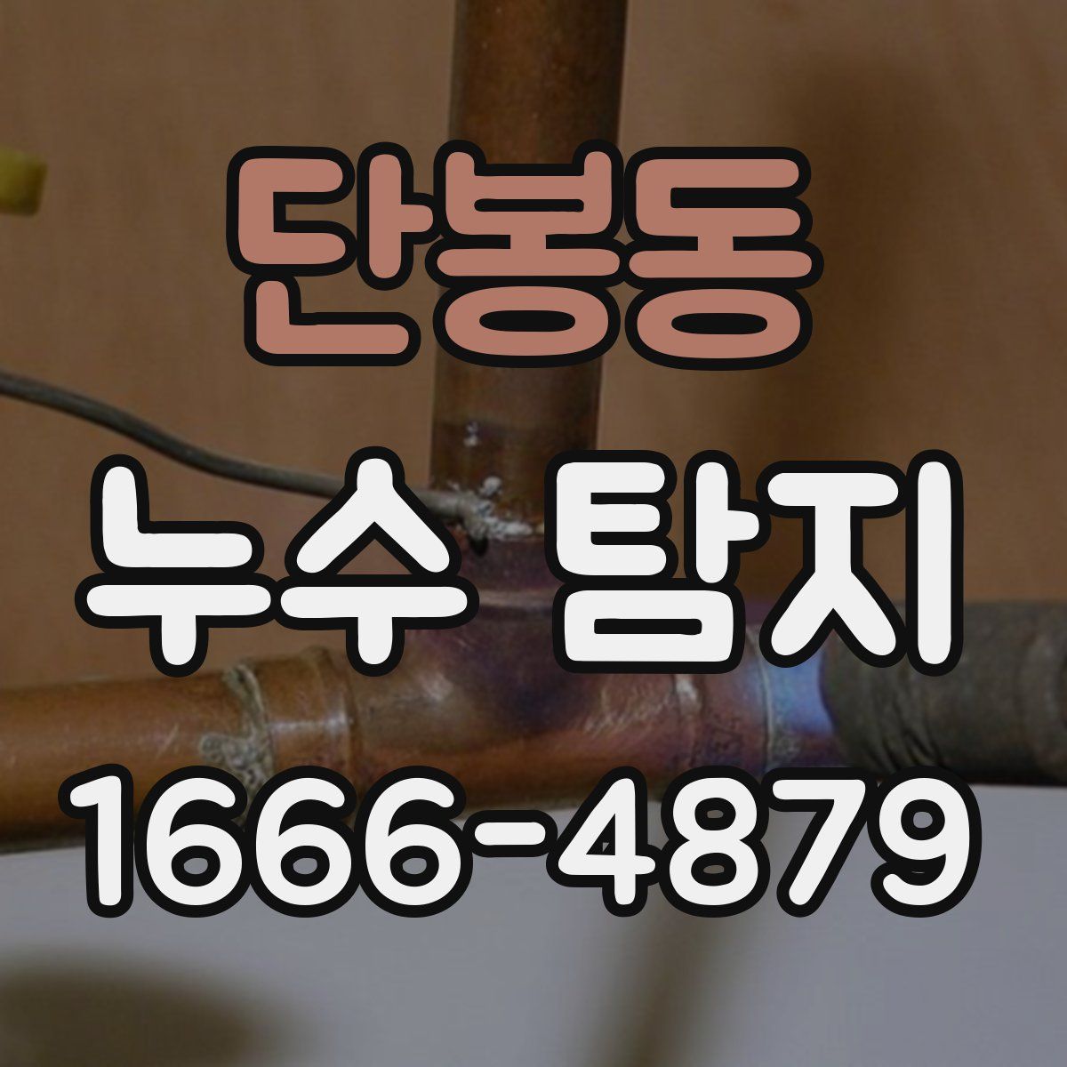 단봉동 누수 탐지