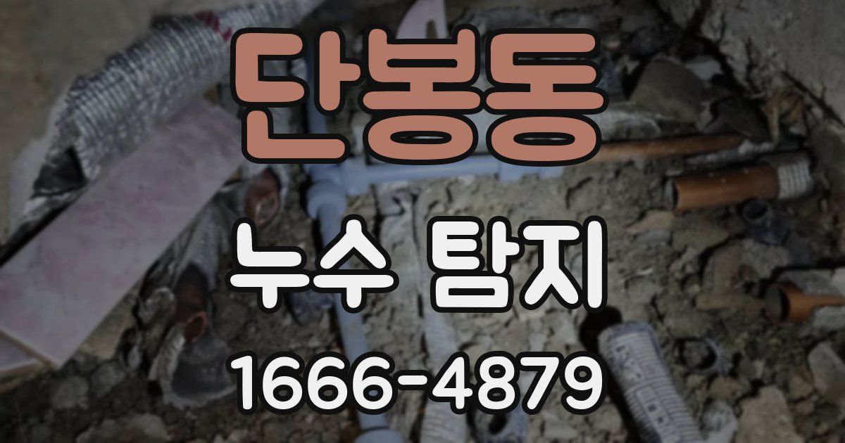 단봉동 누수 탐지