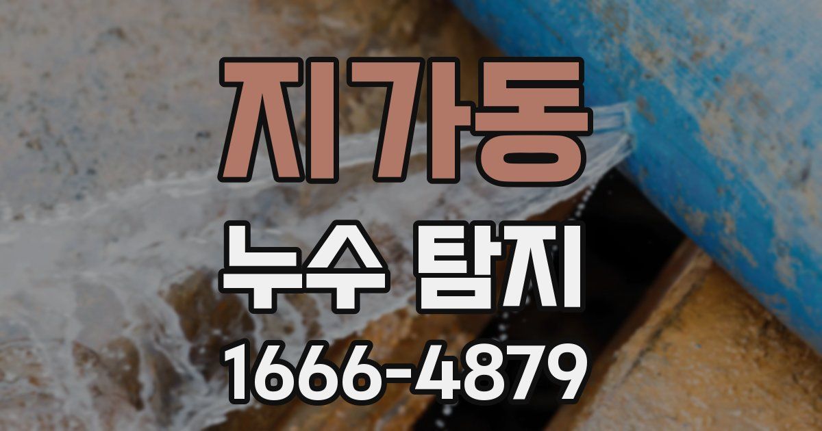 지가동 누수 탐지
