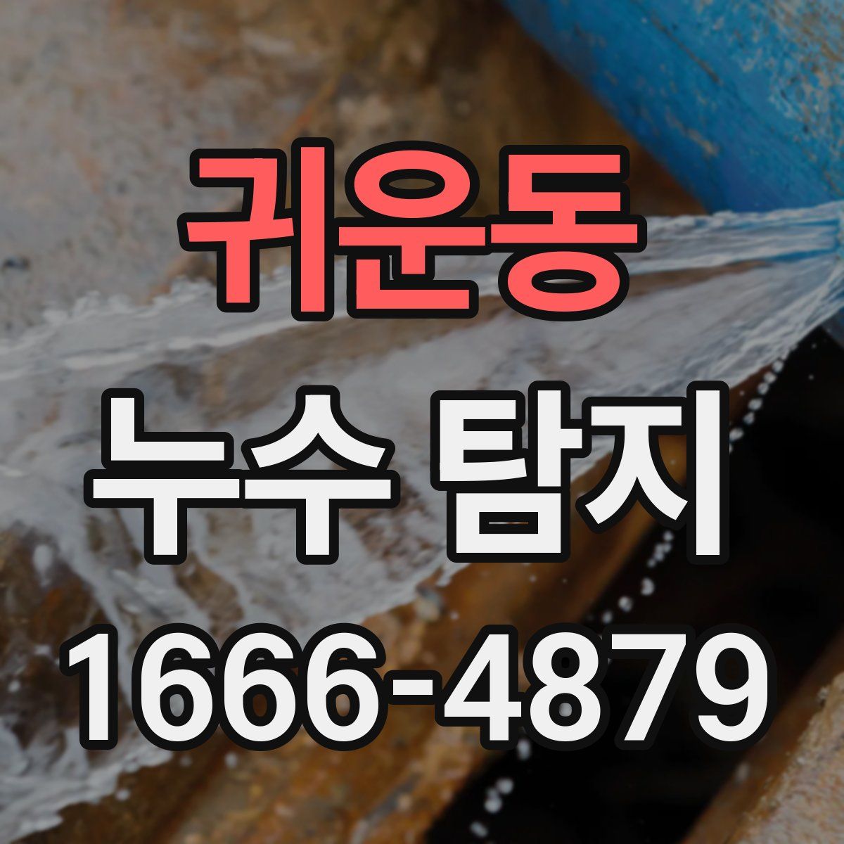 귀운동 누수 탐지