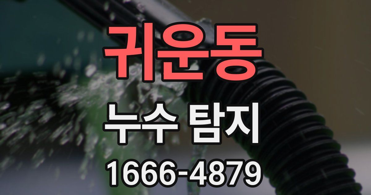 귀운동 누수 탐지