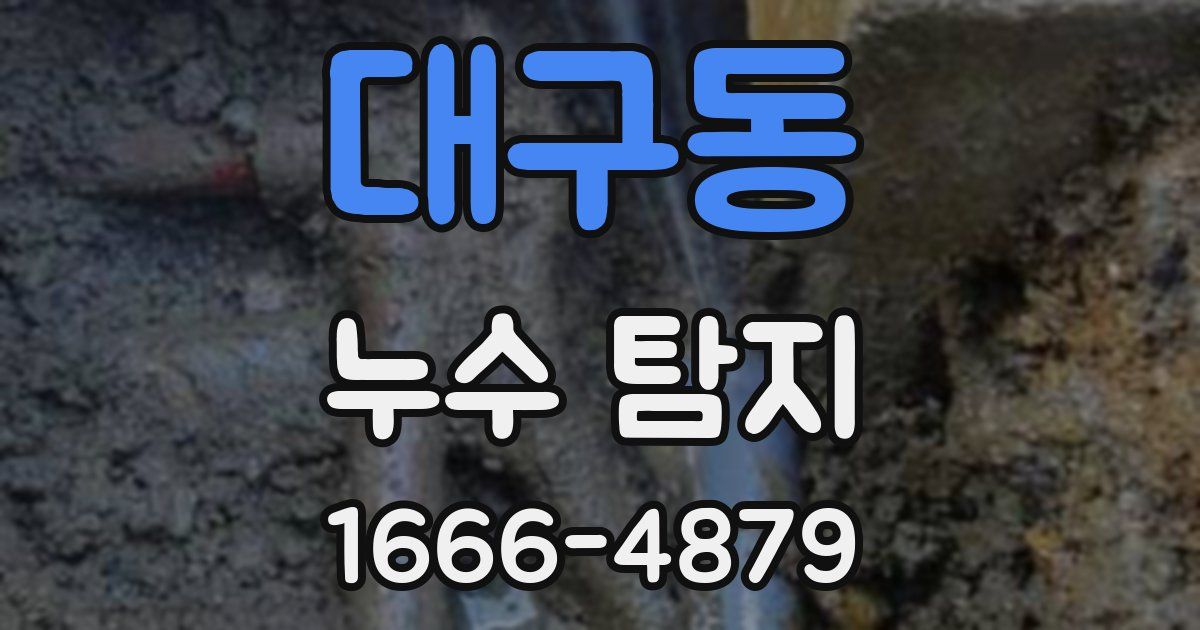 대구동 누수 탐지