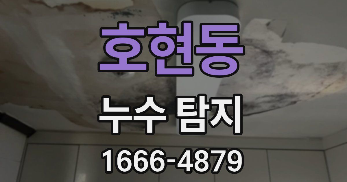 호현동 누수 탐지