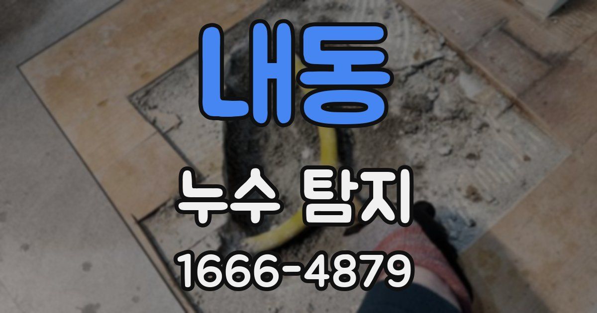 내동 누수 탐지