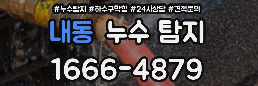 내동 누수 탐지