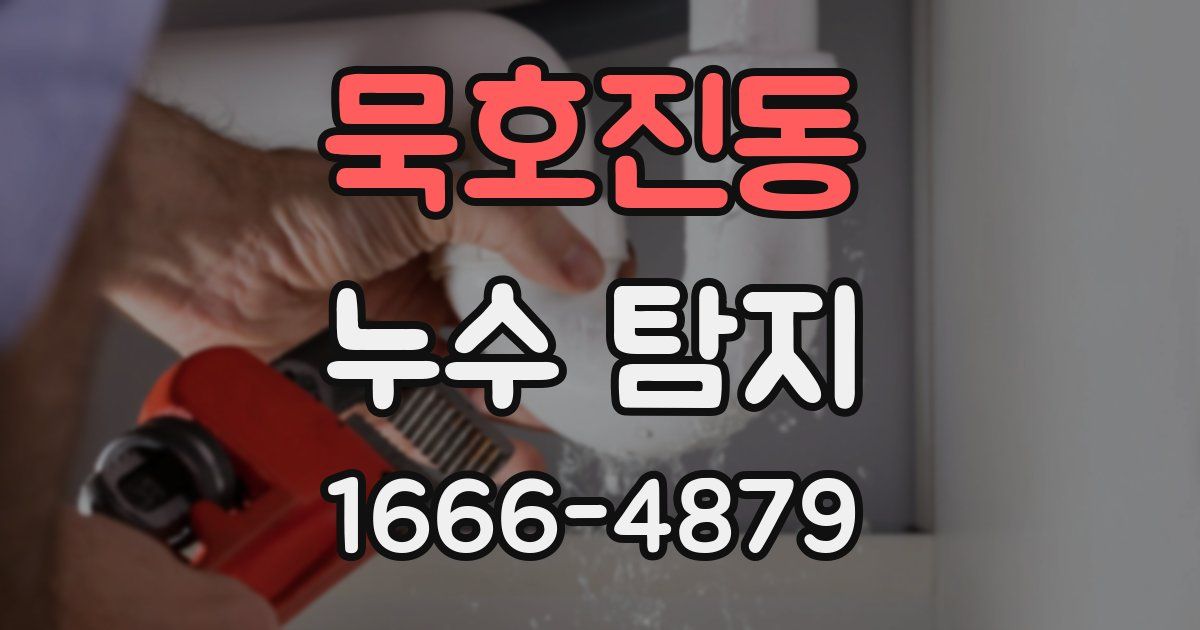 묵호진동 누수 탐지