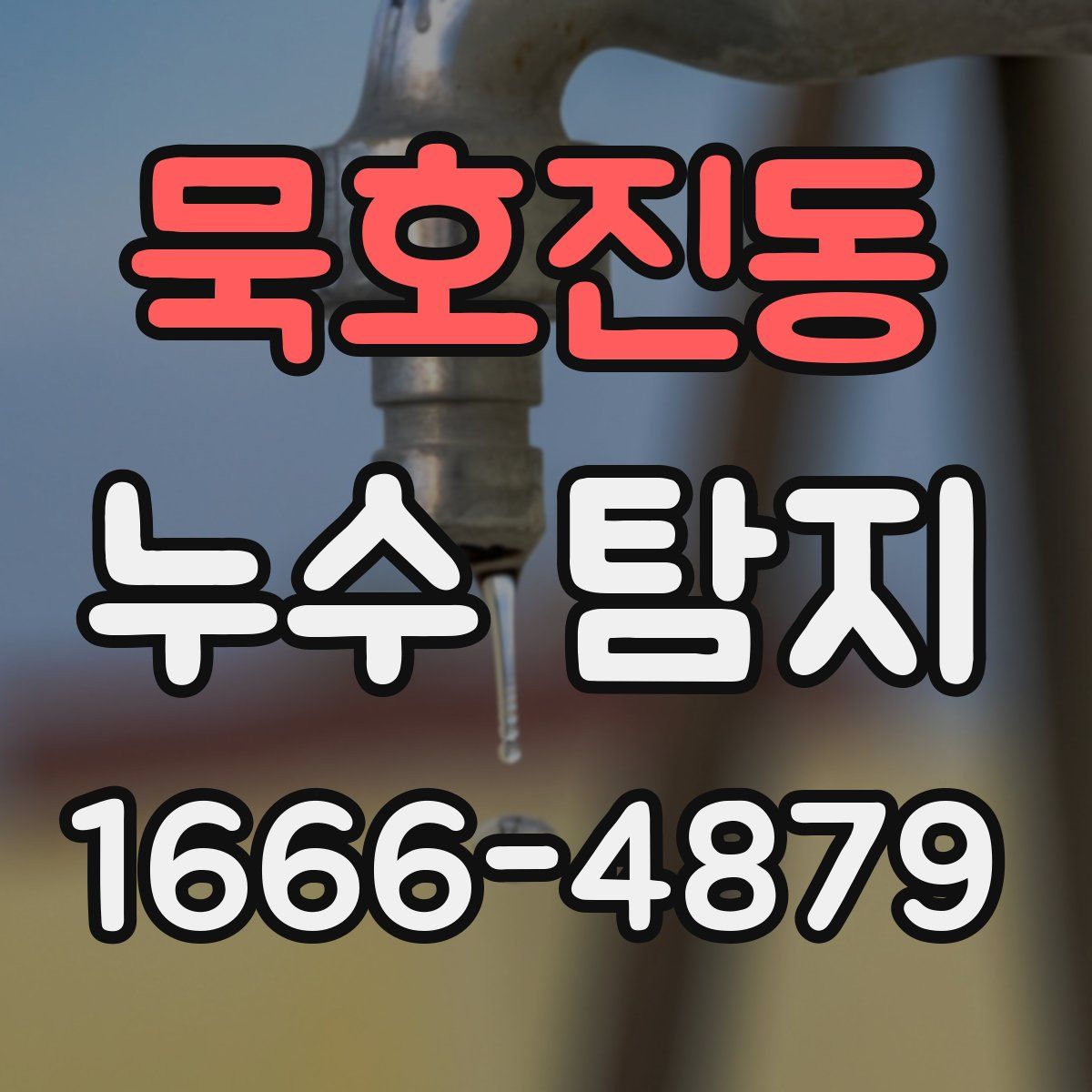 묵호진동 누수 탐지