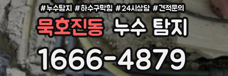 묵호진동 누수 탐지