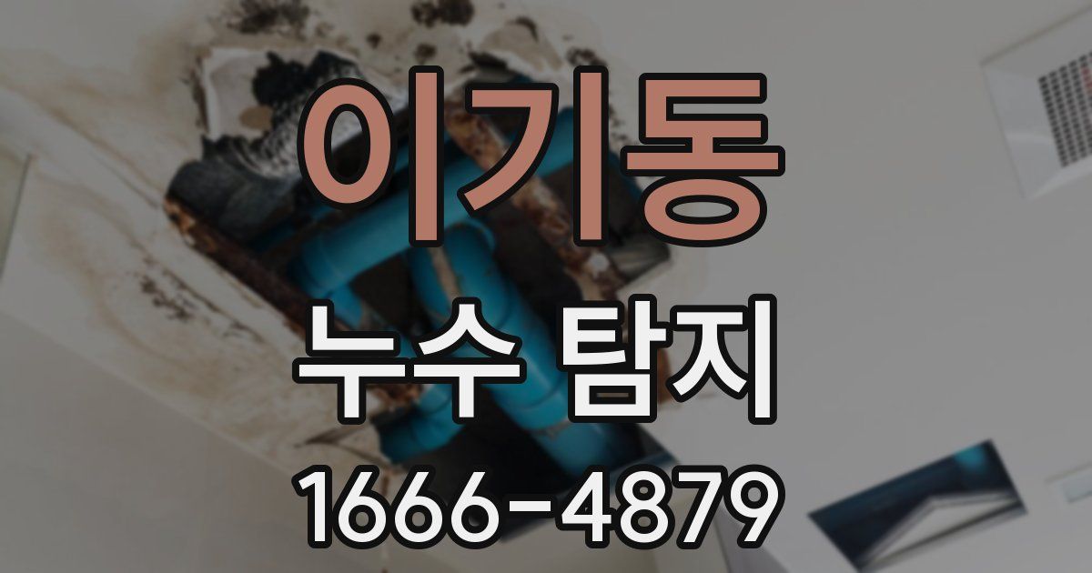 이기동 누수 탐지