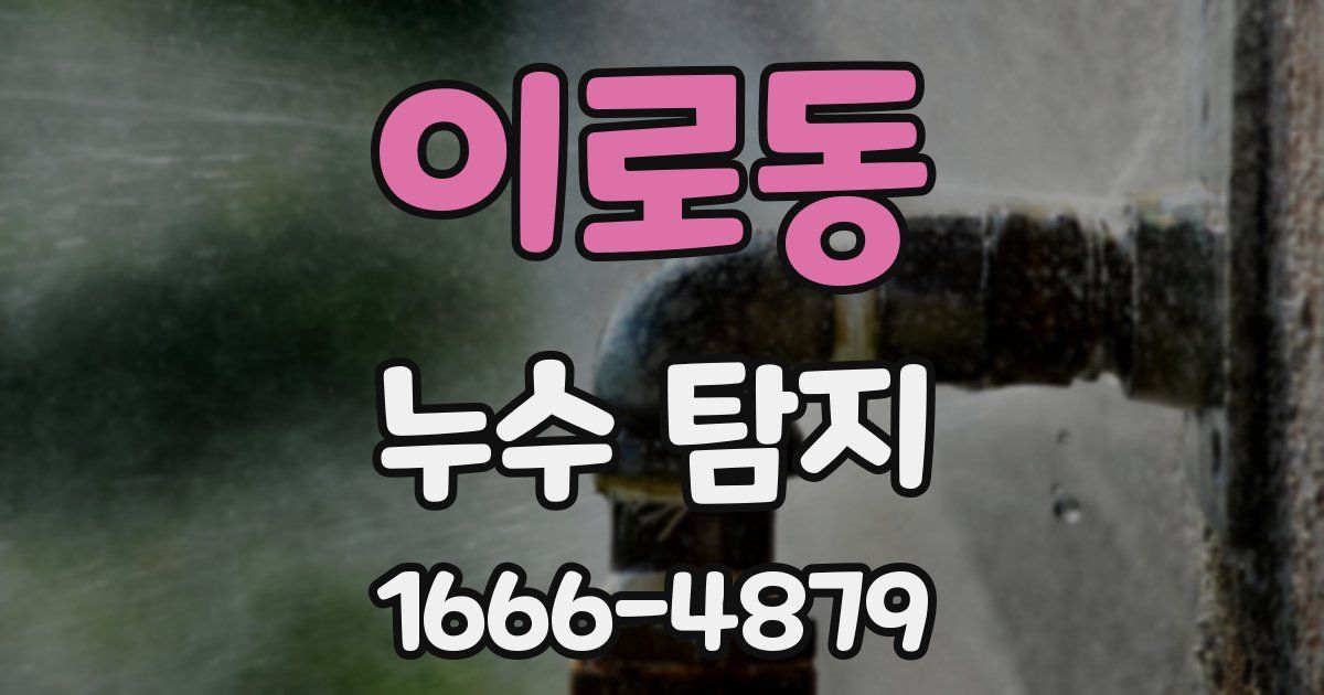 이로동 누수 탐지