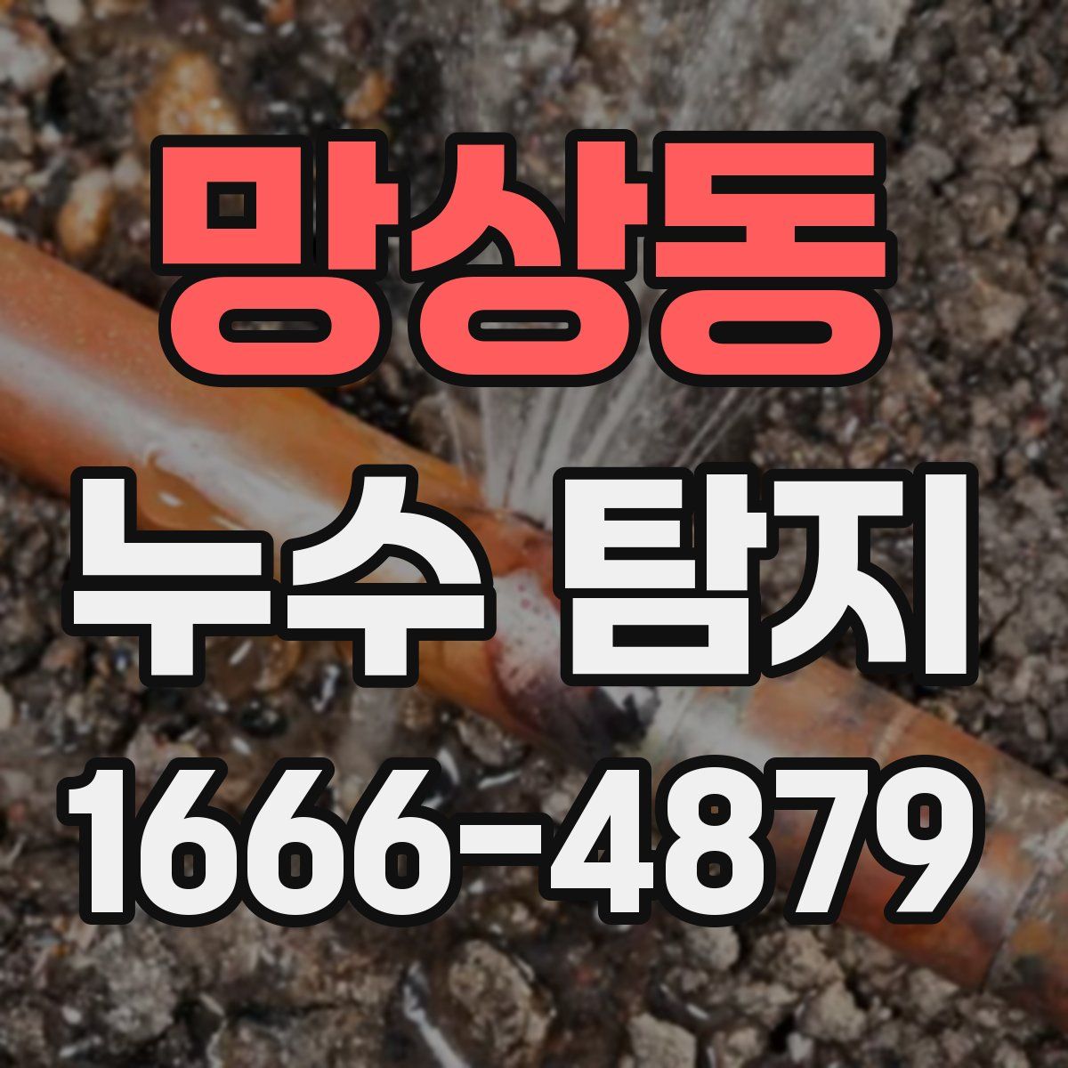 망상동 누수 탐지