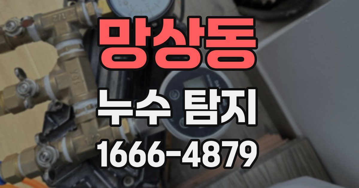 망상동 누수 탐지