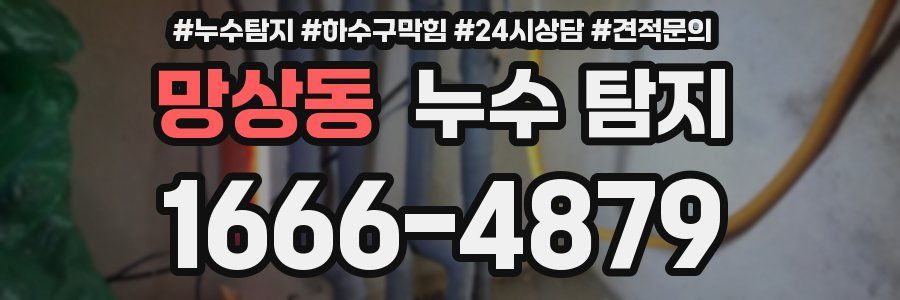 망상동 누수 탐지