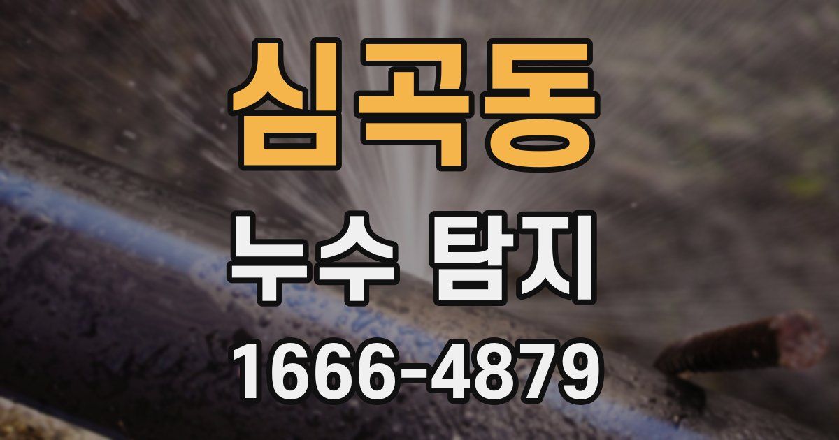 심곡동 누수 탐지