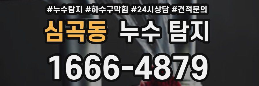 심곡동 누수 탐지