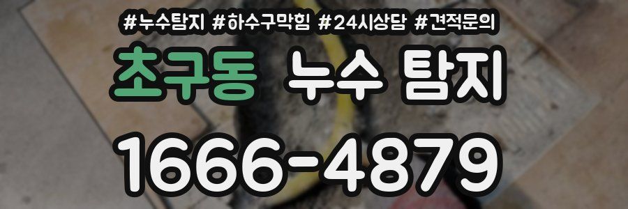 초구동 누수 탐지