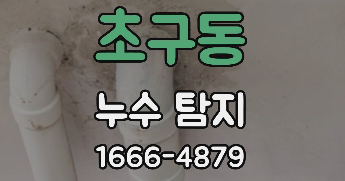 초구동 누수 탐지