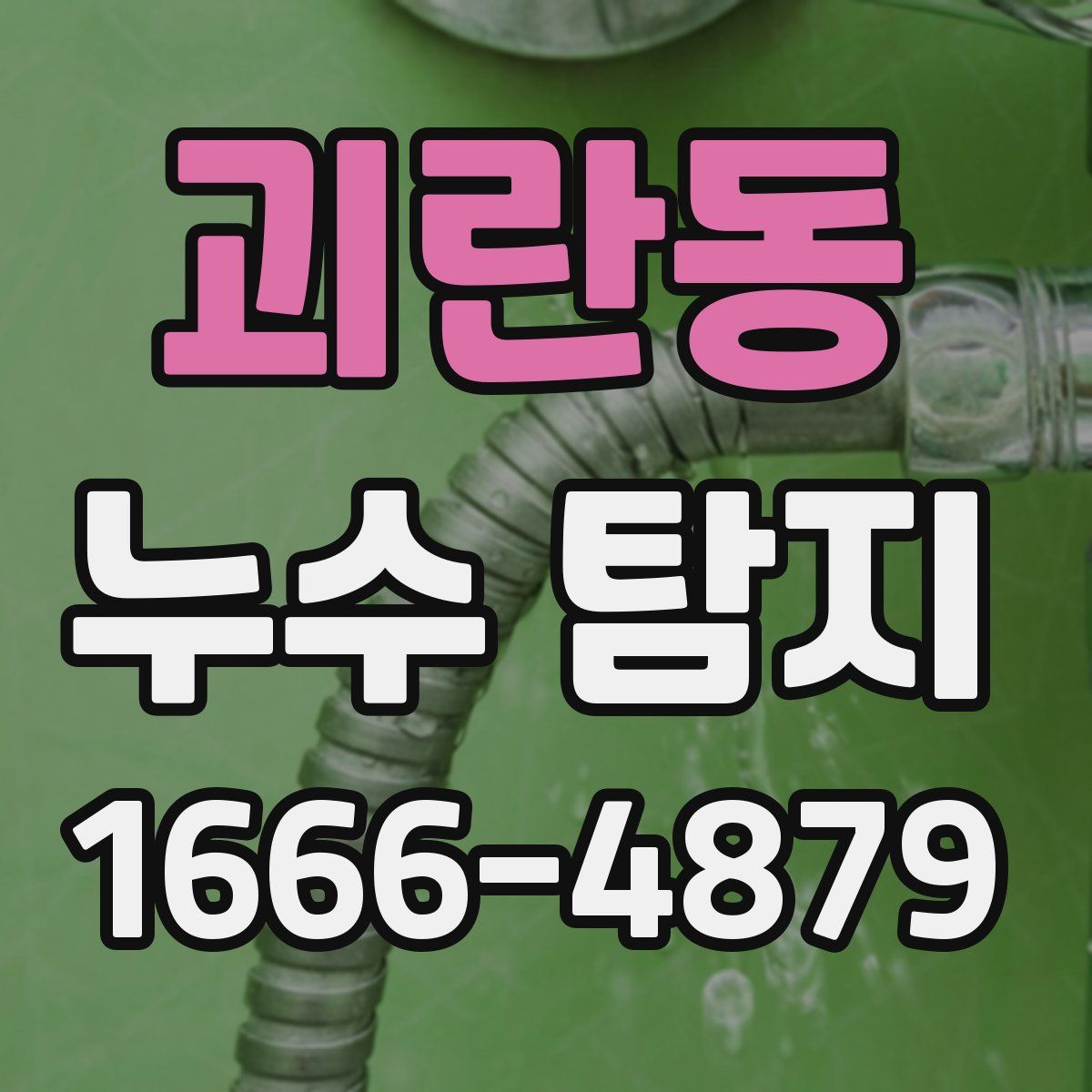 괴란동 누수 탐지