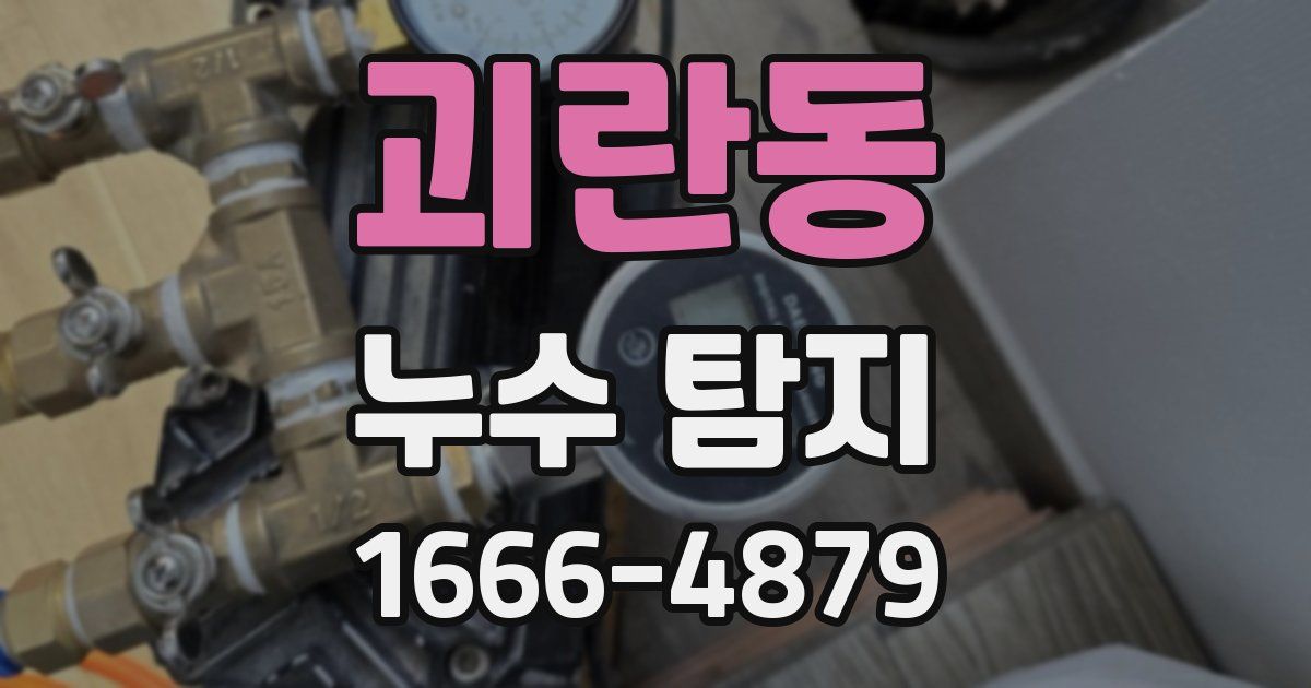 괴란동 누수 탐지