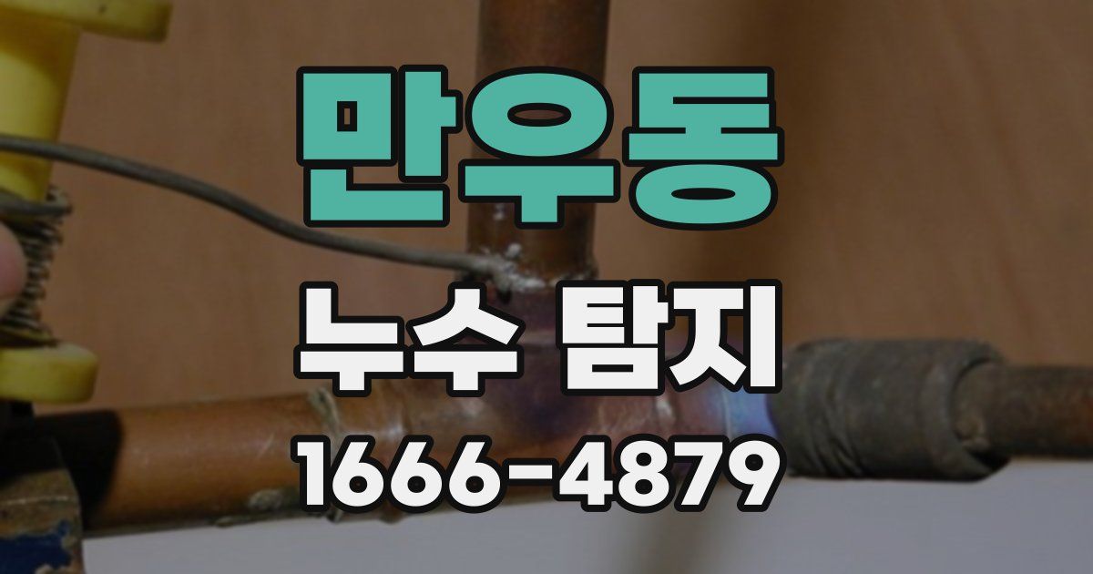 만우동 누수 탐지