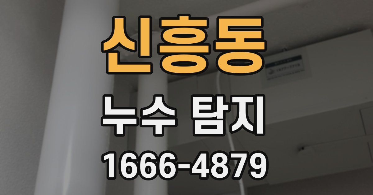 신흥동 누수 탐지