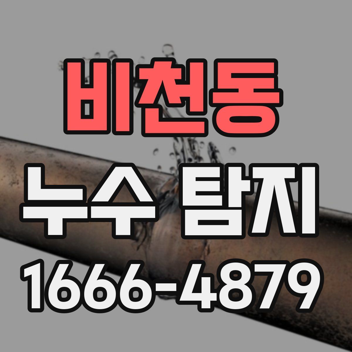 비천동 누수 탐지