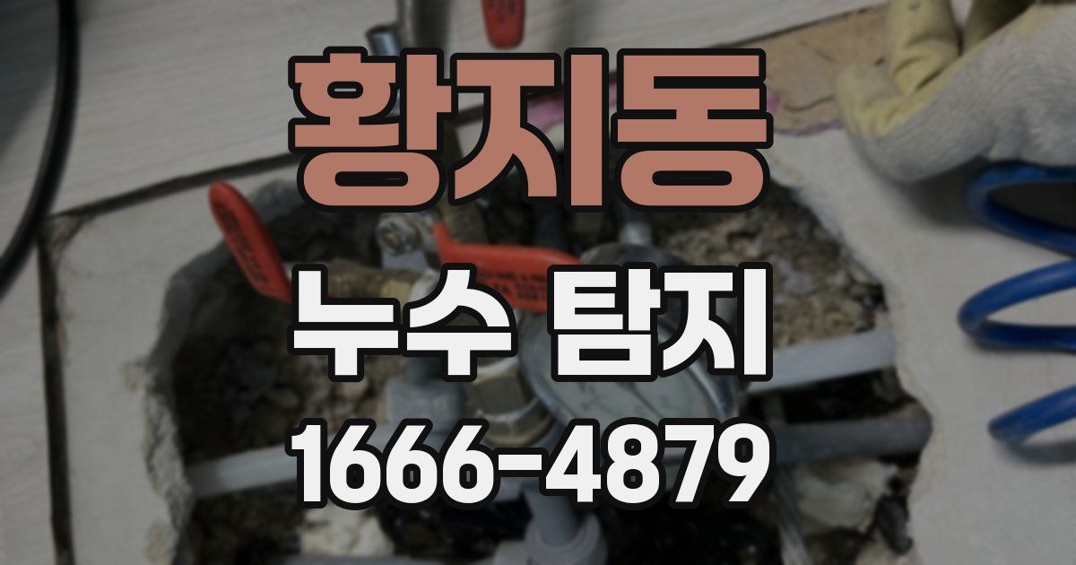 황지동 누수 탐지