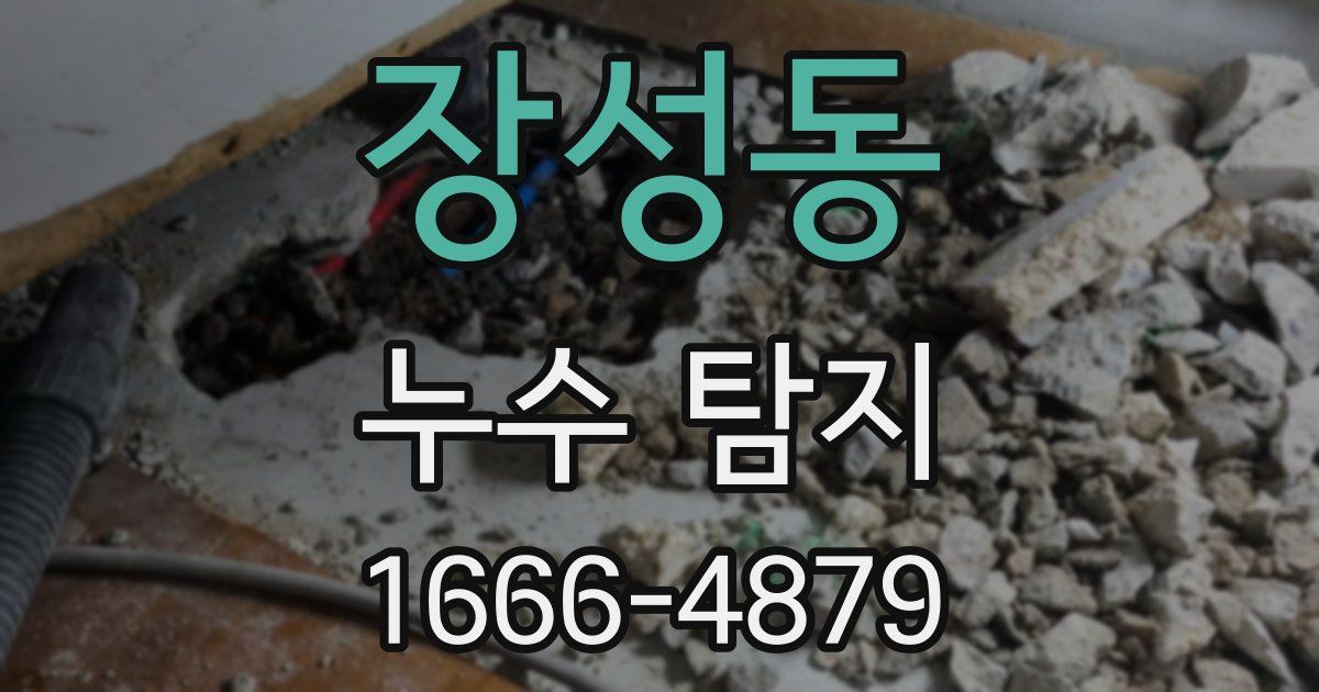 장성동 누수 탐지