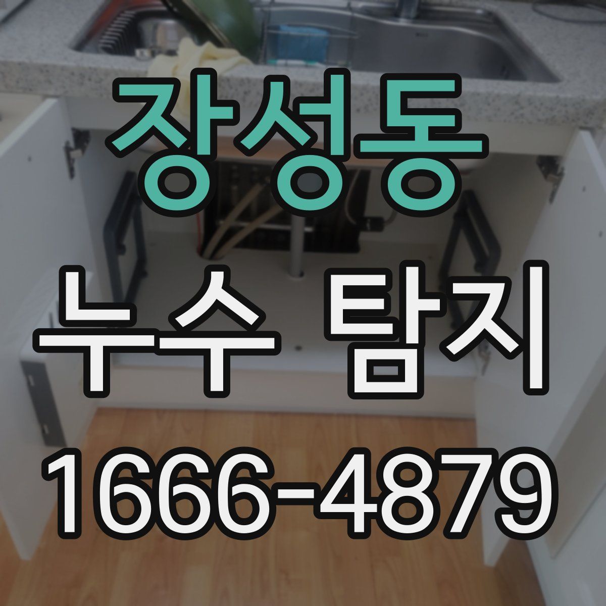 장성동 누수 탐지
