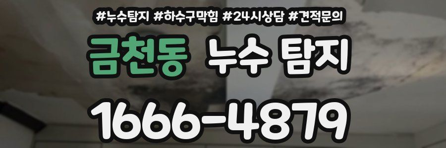 금천동 누수 탐지