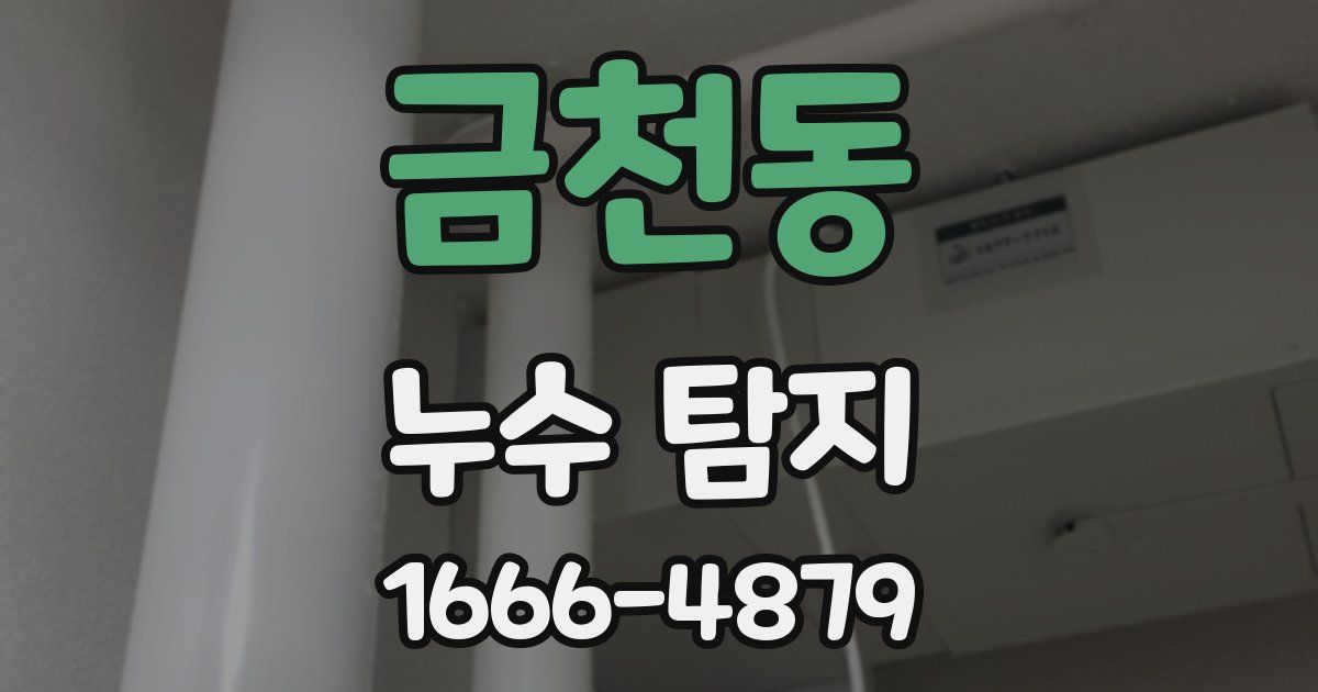 금천동 누수 탐지