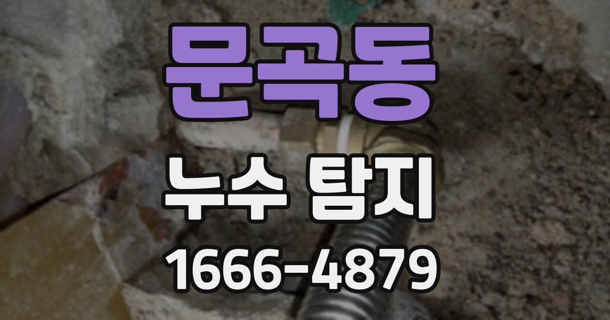 문곡동 누수 탐지