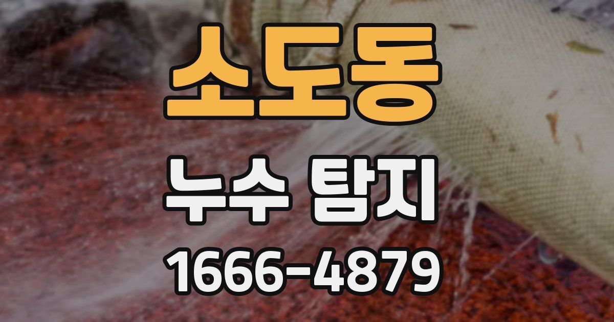 소도동 누수 탐지