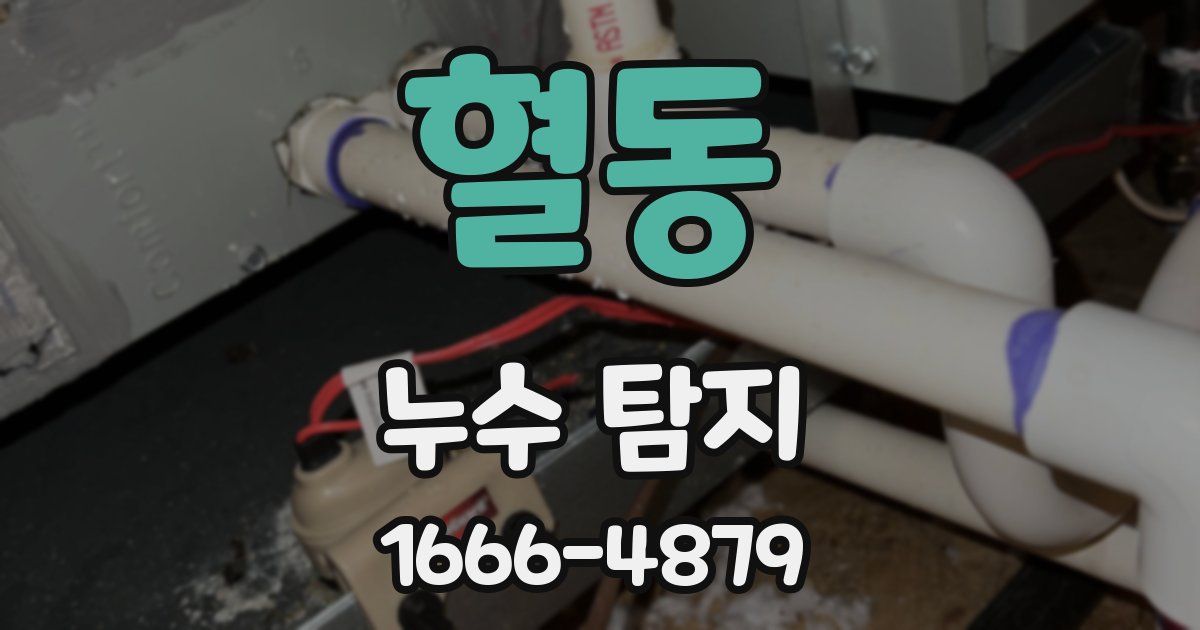 혈동 누수 탐지