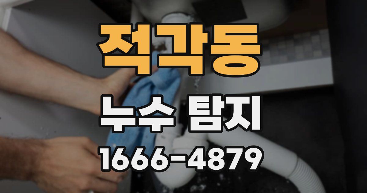 적각동 누수 탐지