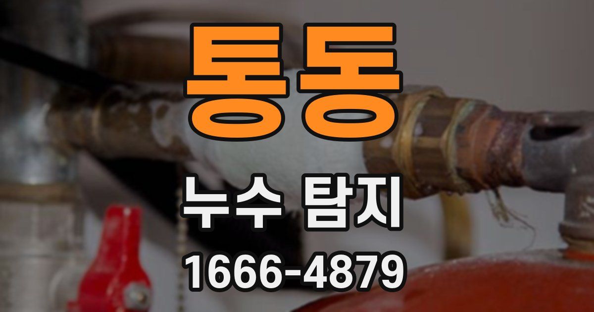 통동 누수 탐지