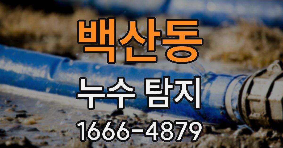 백산동 누수 탐지