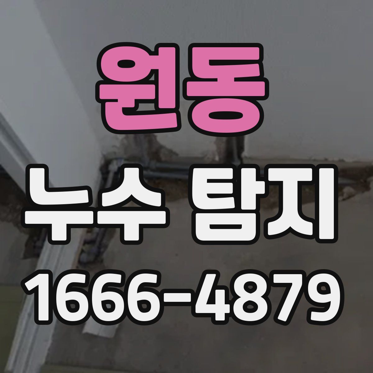 원동 누수 탐지